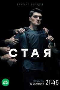 Сериал: Стая