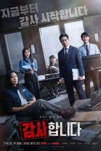Сериал: Аудиторы