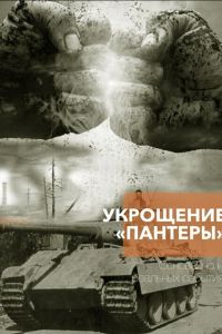 Сериал: Укрощение «Пантеры»
