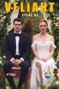 Сериал: Наследник