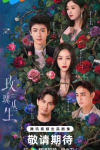 Сериал: Цикада