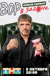 Сериал: Вор в загоне